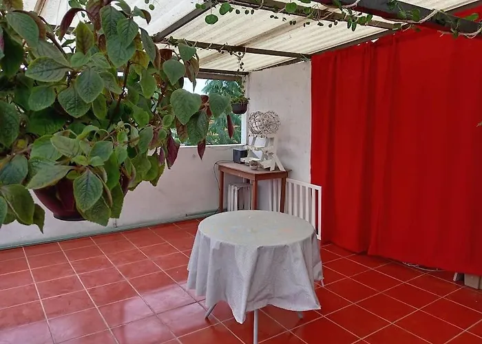 La Mas Comoda Y Elegante Apartamento