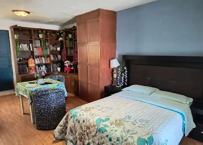 La Mas Comoda Y Elegante Apartamento